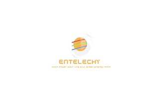 Entelechy Solar Lighting Solar Storage System Supplier [upl. by Pedrick]