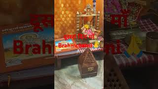 Navratri ka dusra Din Maa brahmacharini Mantra reels Puja Mein man brahmcharini Mantra ka Jaap [upl. by Harlen]