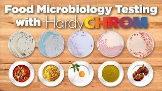 HardyCHROM™ Chromogenic Media for Food Safety Testing [upl. by Jacquelyn154]