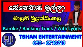 Senehasa illa liyathabara laga Karoke  Malani bulathsinhala  සෙනෙහස ඉල්ලා  මාලනි බුලත්සිංහල [upl. by Dygert]