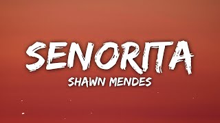 Shawn Mendes Camila Cabello  Señorita LyricsLetra [upl. by Ludovick]