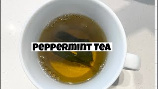 How to Make Fresh Peppermint Tea [upl. by Nylynnej528]