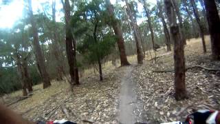 Mountain Biking at Lysterfield  Aneurysm Trail [upl. by Vershen]