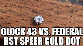 Glock 43 FEDERAL HST and SPEER GOLD DOT verses water Jugs and Cantalopes [upl. by Ytisahcal255]