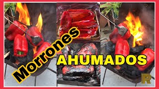 🌶Morrones AHUMADOS en aceite  Conserva de morrones o pimientos  shorts [upl. by Adev]