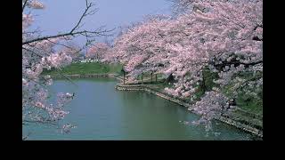 JCI Shinjo Attractiveness PR Video JCI 新庄 魅力 ＰＲ動画 [upl. by Eilyr]