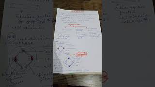 cytoskeleton biology shortvideo shortsfeeds class11 biology [upl. by Nael]