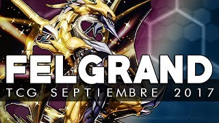 Felgrand Deck Link Format TCG  YgoPRO Link 2017 [upl. by Resneps]