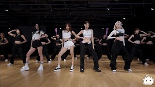 MIRRORED BLACKPINK  ‘Pink Venom’ DANCE PRACTICE VIDEO  Mochi Dance Mirror [upl. by Benjy438]