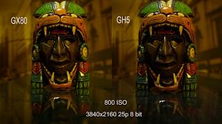 Panasonic Gh5 vs Gx80 low light comparison [upl. by Aeneas]