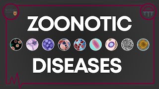 Demystifying Zoonotic Diseases [upl. by Greggory]