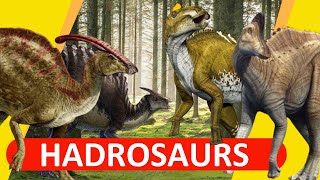 Hadrosaurs  The DuckBilled Dinosaurs  2020Outdated [upl. by Sosthena927]