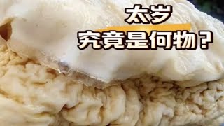 难道太岁真的是4万年前的塑料吗？ [upl. by Randene]