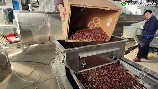 Cracking and Winnowing Cocoa Beans Machine How to Crack Cocoa Beans [upl. by Perron129]