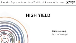 Income Insights High Yield  November 2024 [upl. by Pepin697]