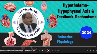 HypothalamoHypophyseal Axis amp Feedback Mechanisms 102024 by Dr Khaled A Abulfadle [upl. by Swenson]