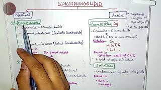 Glycolipid Intro Classification amp Types  Lipid Metabolism  Doctor Z [upl. by Fitton]