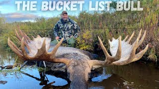 Once in a Lifetime Moose Hunt  Giant Bull Down [upl. by Gnad]