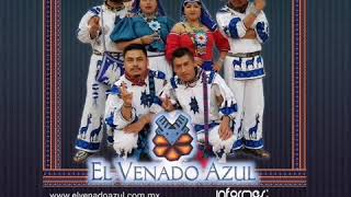 El Venado Azul DISCO COMPLETO 2019 [upl. by Leumas822]