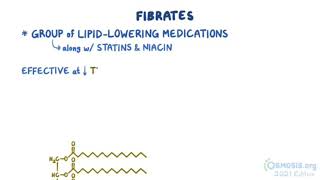 Thuốc hạ lipid máu Fibrate [upl. by Donnie]