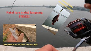 mancing CASTING di spot dekat muara baru TERLARANG‼ ikannya GANAS2 [upl. by Landbert]