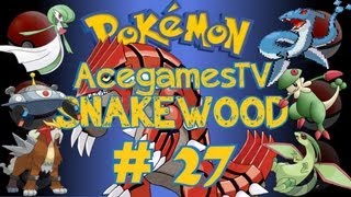 Pokémon Snakewood Walkthrough part 27 Pacifidlog Gym [upl. by Enelia971]