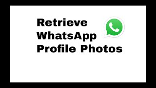 HOW TO Retrieve WhatsApp Profile Photo [upl. by Mesics]