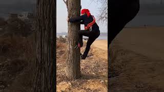 Unique Way To Climb Trees youtubeshorts shorts ytshorts [upl. by Noslen249]