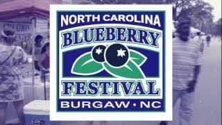 NC BLUEBERRY FESTIVAL Burgaw NC [upl. by Anima]