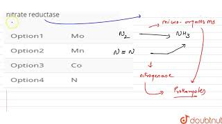 Component of nitrogenase and nitrate reduction is [upl. by Assena]