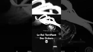 Le Calamar Colossal  Le Roi Terrifiant Des Fonds Marins 💀 shorts [upl. by Duff528]