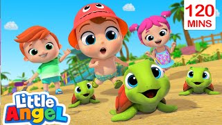 Beach Day Song Turtle Rescue  Play Safe Outdoor  Little Angel Kids Nursery Rhymes [upl. by Lucienne]