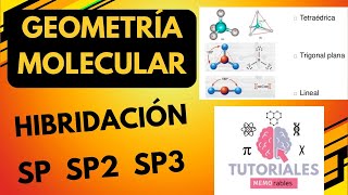 La mejor clase sobre Hibridación SP SP2 SP3  geometría molecular enlaces sigma y pi [upl. by Etirugram322]