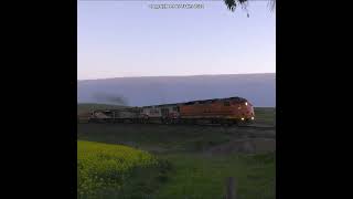 EPIC POWER ON SCT FREIGHT WITH HIRED STREAMLINER ENGINE  australiantrains australianrailways [upl. by Bridgette]