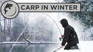 CATCH MORE CARP in WINTER with these 5 tips [upl. by Brandais]