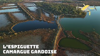 LEspiguette  Camargue Gardoise [upl. by Dent]