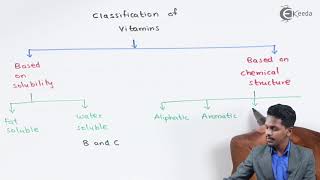 Biomolecules 02  Proteins  Enzymes amp Nucleic acid  Class 12thCUET [upl. by Pardew]