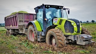 Extremalne koszenie kukurydzy 2017Mega Wtopy 3xClaas  2x CaseIH DeutzFahr [upl. by Shelden]