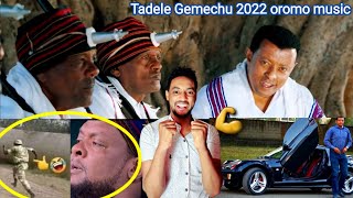 Tadele Gemechu music reaction 2022 sirba Hacalu fi gotoota oromo farsu fi diina salfachise😀 Abushiye [upl. by Ecyrb]