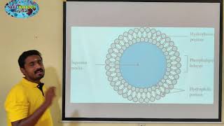 LIPOSOME MEDIATED GENE TRANSFER  TAMIL  BIOTECHNOLOGY PRINCIPLES  STD 12 [upl. by Alledi]