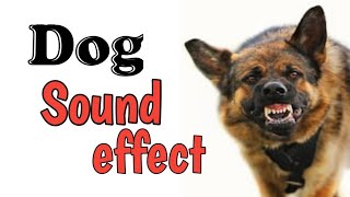 Angry Dog Sound effect  No copyright [upl. by Munmro]