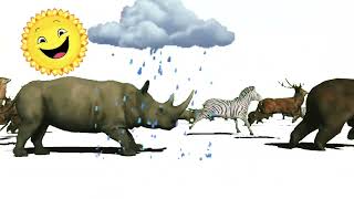 animals running  animal stampede  stampede animals  zebra  rhinos  rodeo stampede [upl. by Helen]