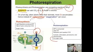 Metabolism Unit Photorespiration [upl. by Dloreg]