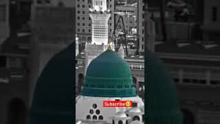 Dil To Sina Ali Song 💘💘 ringtone explore song love ringtones youtube ringtonesong islamic [upl. by Gerald]