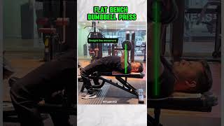 Learn how to do flat bench dumbbell press benchpress fitness gym [upl. by Rorrys790]