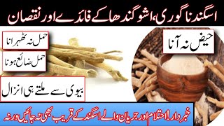 Asgandh Nagori Ke Fayde  Ashwagandha Benefits  Withania Somniafera Benefits  Tib Hijama Online [upl. by Berkow]