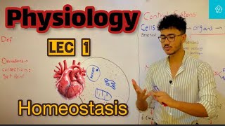 homeostasis  physiology lec 1 [upl. by Saoj619]