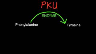 A15 Explain the causes and consequences of phenylketonuria PKU [upl. by Nahtaj]