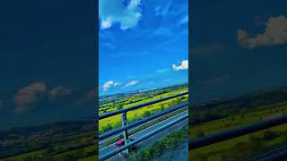 England Nature Beautiful ❤️ nature ytshorts shorts england greenry naturelovers foryou [upl. by Duwe464]