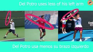 Derechas comparadas González Del Potro Alcaraz [upl. by Chemash]